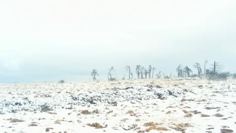 Dead-trees-sit-on-a-frozen-hill-as-clouds-pass-over-during-a-time-lapse