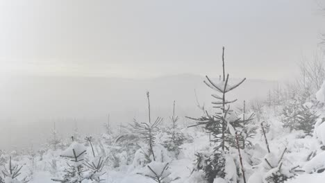 Majestätischer-Nebel-Enthüllt-Eine-Winterliche-Tallandschaft-Mit-Windmühlen-In-Der-Ferne