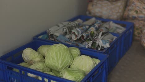 Close-Up-Footage-of-Cabbages-In-The-Rack-Ready-To-Be-Covered-By-Paper-To-Keep-Its-Freshness-On-The-Way-to-The-Delivery