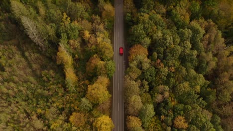 Aerial-look-up-shot-from-a-road-in-a-autumn-colored-forest-up-to-the-horizon-with-the-alp-mountains-in-the-background,-wonderful-season-trip