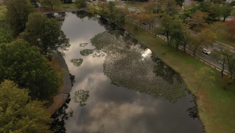 A-drone-shot-of-a-pond-on-a-cloudy-day