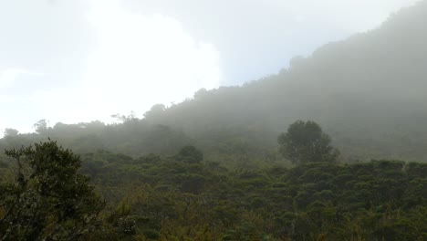 Vista-De-Un-Bosque-Nuboso-En-Costa-Rica