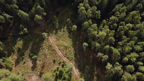 Drone-flying-forward-above-beautiful-green-forest-with-huge-empty-area-with-no-trees