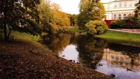 Goldener-Herbstpark-Mit-Wunderschönem-Weißen-Gebäude-In-Der-Ferne