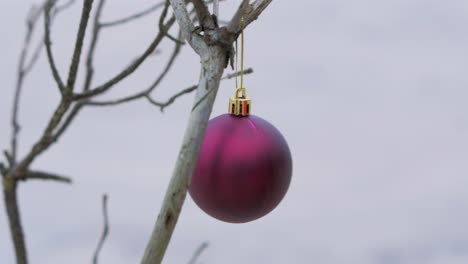 Young-woman-decorates-tree-branches-with-Christmas-decorations,-red-xmas-ball,-outdoor,-overcast-day,-handheld-medium-shot