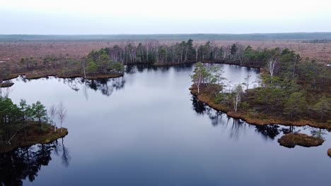Aerial-birdseye-view-of-Dunika-peat-bog-with-small-ponds-in-overcast-autumn-day,-wide-angle-ascending-drone-shot