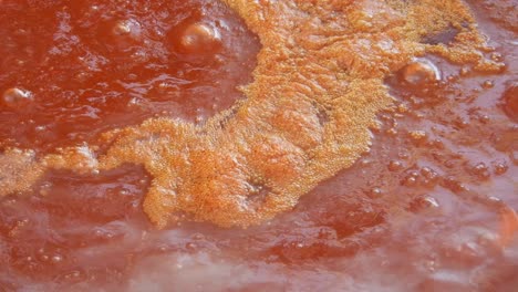 Boiling-tomato-sauce-close-up-shot