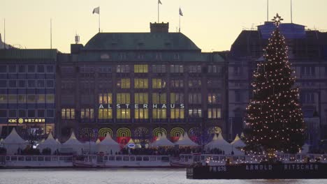 Vista-De-Un-árbol-De-Navidad-Frente-Al-Mercado-De-Navidad-Y-Multitudes-En-Hamburgo,-Alemania,-En-Diciembre-De-2019