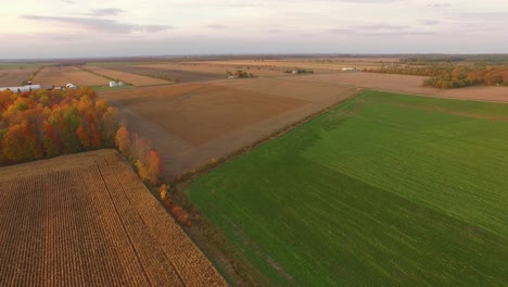 Aerial-view-of-wide-farmland-with-planted-fields,-newly-plowed-plots-and-tall-tress-with-colorful-leaves-of-Fall