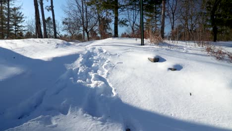 A-horizontal-pan-of-a-snow-covered-forest-ground-revealing-a-path-with-human-footsteps