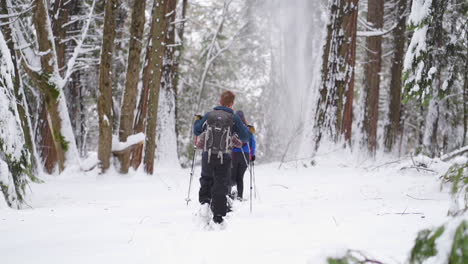 In-Slow-motion,-snow-falling-around-a-group-of-people-snowshoeing-through-wintery-pine-forest
