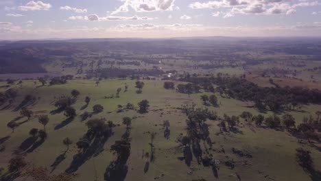 Aerial-flight-over-forest-in-Australia-with-sun-and-clouds-in-the-background,-distance-shot-ascending-while-tilting-down