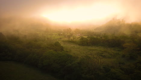 Wunderschöner-Nebel-über-Einem-Tropischen-Regenwald-Bei-Sonnenuntergang