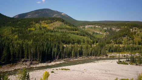 Aerial-Daytime-Medium-Wide-Shot-Flying-Forward-Toward-A-Swift-Steep-River-Between-Trees-Of-A-Summer-Pine-Forest-In-The-Rocky-Mountain-Peaks-in-Alberta-Canada