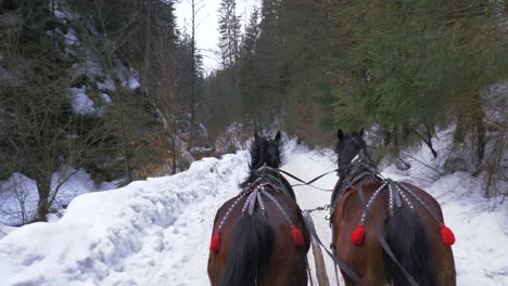 Two-horses-pull-a-sleigh-in-a-snowy-valley