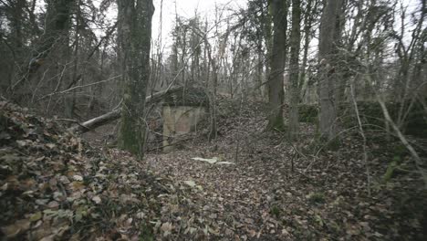 View-of-forest-who-still-include-fortifications-from-WW1