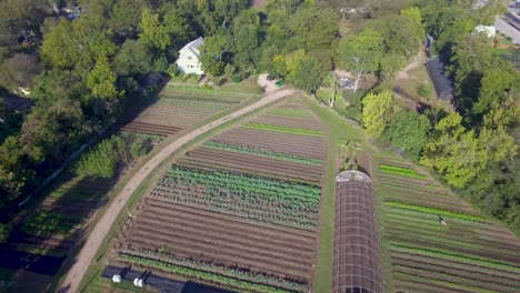 AERIAL:-Elevated-flyover-of-a-working-farm-in-Austin,-Texas-revealing-rows-of-greenery