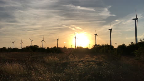 Low-angle-view-of-golden-sun-illuminating-wind-turbines-from-behind