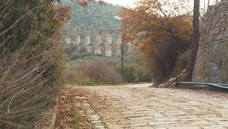 Roman-aqueduct-handheld-looking-through-foliage-Winter-olive-trees-cobble-stone