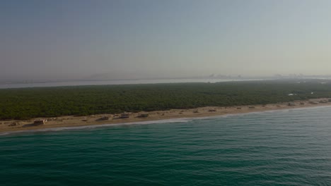 A-beach-aerial-view-with-mangroves-belt