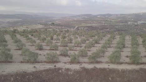Una-Vista-De-Las-Tierras-De-Cultivo-Junto-A-Las-Colinas-De-Arraba-Palestina-Oriente-Medio