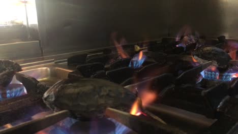 Eggplants-smoked-on-flames-SLOW-MOTION