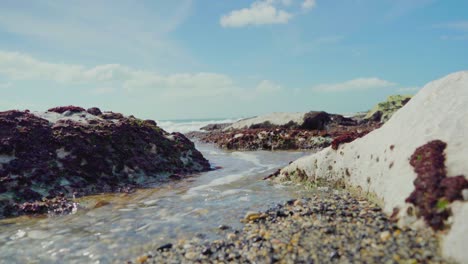 Nature-Sea-Ocean-Shore-Stones-Rocks-Waves-Waves-Crash-Puddle-Sunny-Daylight-Portugal-Close-up-Steady-Shot-4K