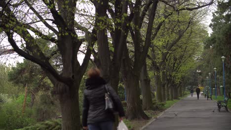 Spring-Park-Alley-Footage-On-A-Rainy-Day,-People-Walking