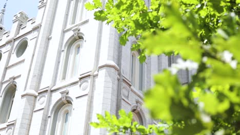 Panning-Shot-behind-a-tree-revealing-the-beautiful-Salt-Lake-City-LDS-Temple-on-a-clear-sunny-day