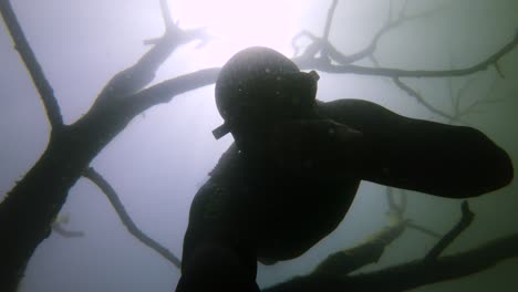 freediver-in-a-black-wetsuit-diving-down-through-branches-of-a-dead-tree-in-a-flooded-freshwater-quarry-with-the-sun-behind-him
