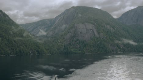 Un-Hidroavión-Vuela,-En-La-Distancia,-Bajo-A-Través-De-Un-Fiordo-De-Alaska