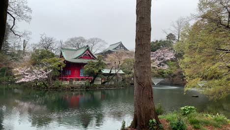 Inokashira-Benzaiten-Shrine-in-front-of-a-lake-with-cherry-blossom