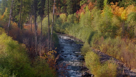 Slow-moving-aerial-reveal-at-low-level-above-small-creek-at-sunrise-with-small-rapids-with-trees-and-bushes-showing-autumn-colors