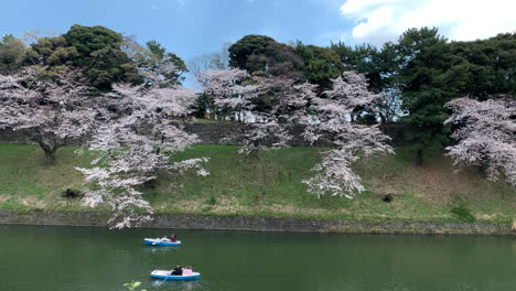 People-enjoy-the-Imperial-Palace-moat-view-of-Chidorigafuchi-Park-with-the-cherry-blossom-by-navigating-boats