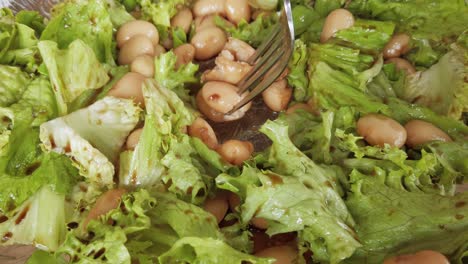 Gesunde-Mahlzeit,-Nicht-Inszenierter-Hausgemachter-Salat-Mit-Lachs,-Grünen-Bohnen-Und-Braunen-Bohnen,-Kohlenhydratarme-Ernährung,-Fitness-Und-Lebensstil