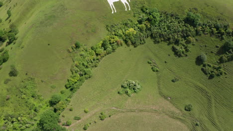 Aerial-Flyover-Revealing-the-Westbury-White-Horse-on-a-Sunny-Summer’s-Day-with-Hikers-Walking-Around-Perimeter-of-Horse