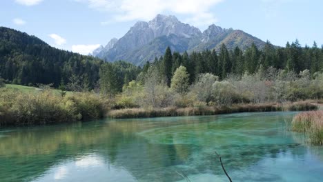 Zelenci-spring-in-Slovenia-during-a-beautiful-sunny-day-looking-at-the-alps-in-the-background-panning-from-side-to-side
