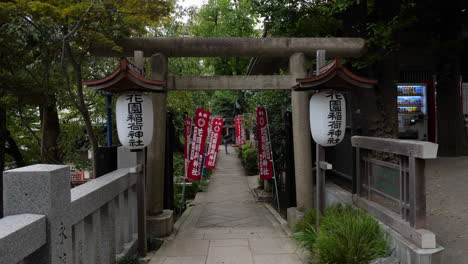 Un-Torii-De-Piedra-Y-Linternas-De-Papel-En-La-Entrada-Del-Santuario-Hanazono-Inari-En-El-Parque-Ueno