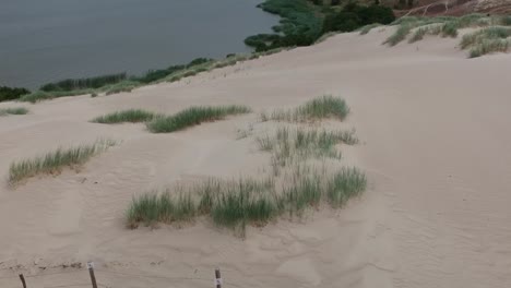 Aerial-shot-starting-on-grey-dunes,-in-the-Curtlandia-isthmus,revealing-the-landscape-with-the-sea-at-the-background