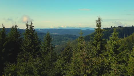 Mit-Kiefernwäldern-Bedeckte-Karpaten-In-Siebenbürgen,-Heranzoomen