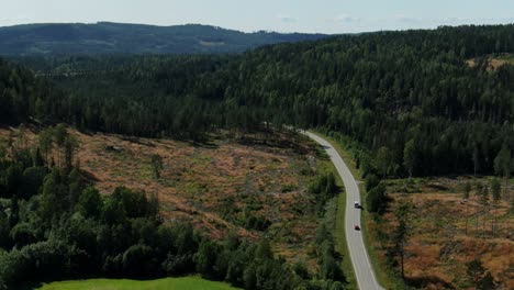 Filmische-Luftaufnahme-Von-Autos,-Die-An-Sonnigen-Tagen-Auf-Der-Hochgeschwindigkeitsstraße-Durch-Den-Wald-In-Den-Bergen-Fahren