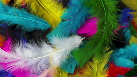 Pile-of-brightly-colored,-fluffy-feathers