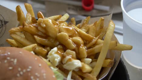 closeup-of-cheese-curds-and-gravy-fries
