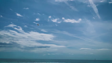 Seagull-flying-above-us-in-slowmotion