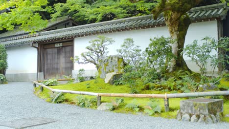 Beautiful-green-garden-in-front-of-a-wall-with-stones-and-trees-in-Kyoto,-Japan-soft-lighting-slow-motion-4K
