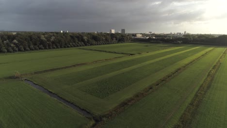 Wunderschöne-Luftaufnahme-Der-Niederländischen-Landschaft-Bei-Sonnenuntergang-Mit-Grünen-Ebenen-Und-Gebäuden-Im-Hintergrund