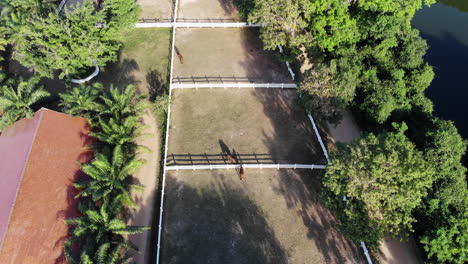 Aerial-over-horse-paddocks-at-an-equestrian-center-in-the-lush,-tropical,-Thai-countryside