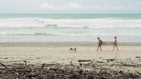 Dos-Jóvenes-Surfistas-Sosteniendo-Una-Tabla-De-Surf-Caminan-Por-La-Playa-Con-Un-Perro-Blanco-Liderando-El-Camino-En-Tambor,-Costa-Rica