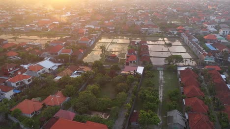 Stadtrand-Von-Denpasar-Mit-Wohngebäuden-Und-Bewässerten-Reisfeldern-Dazwischen