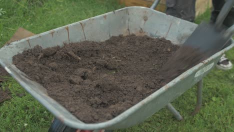 Shovelling-nutrient-rich-garden-soil-from-wheelbarrow